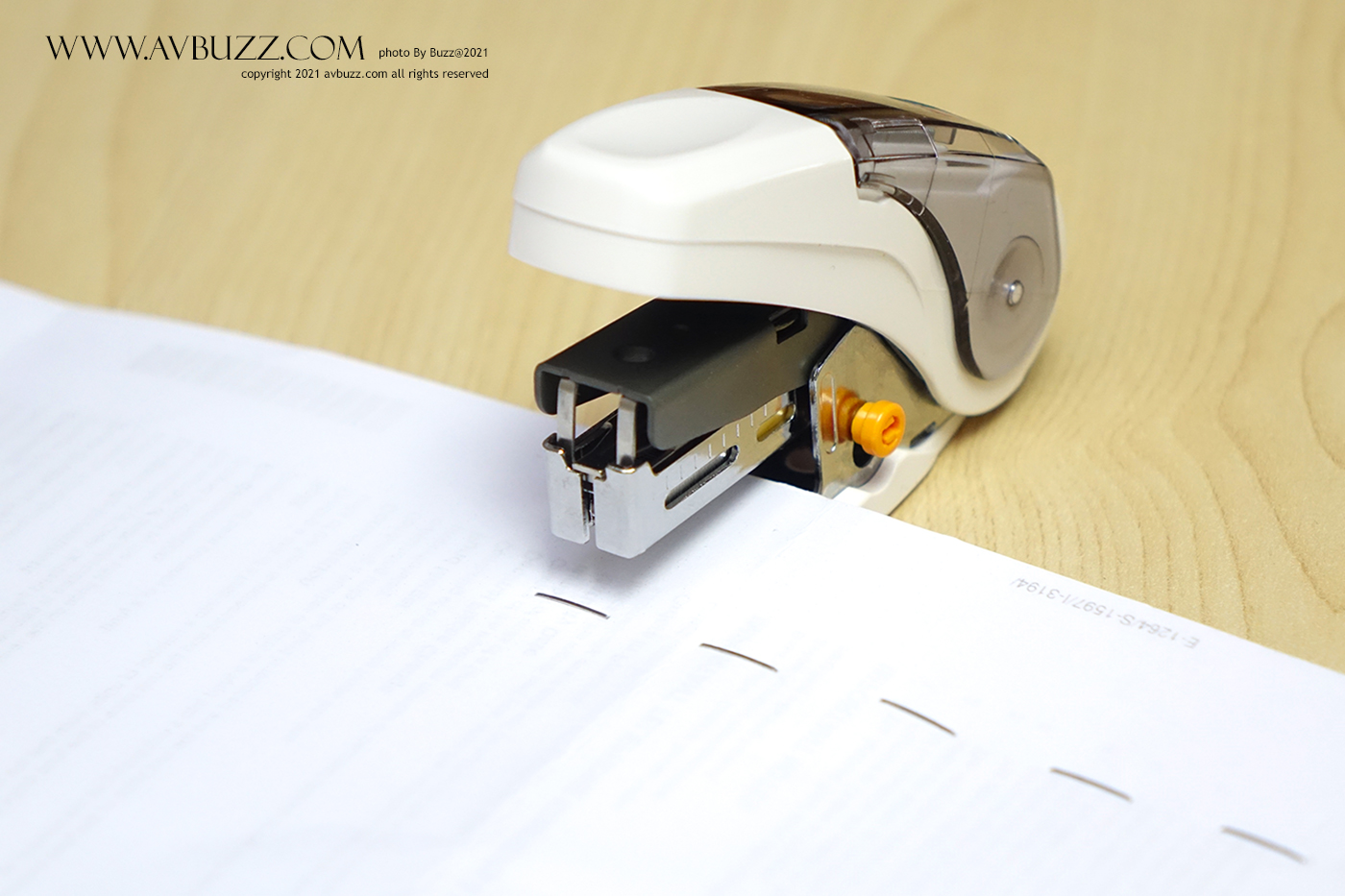 max-avbuzz-S060020