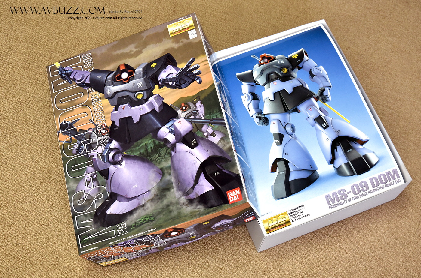 MS-09DOM-avbuzz-445456yr7