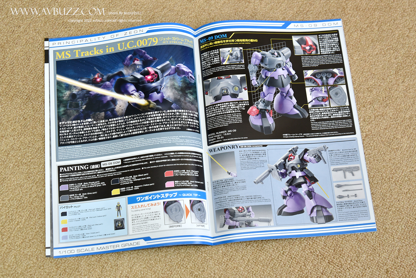 MS-09DOM-avbuzz-744re447