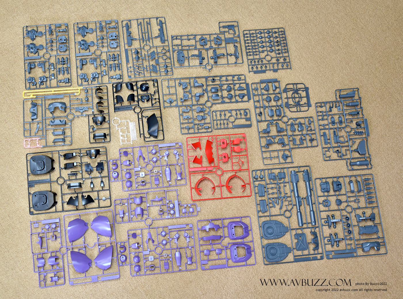 MS-09DOM-avbuzz-774334453