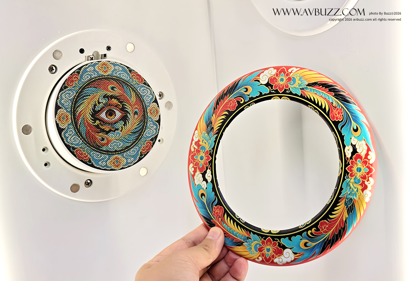 MSV-avbuzz-B0000901