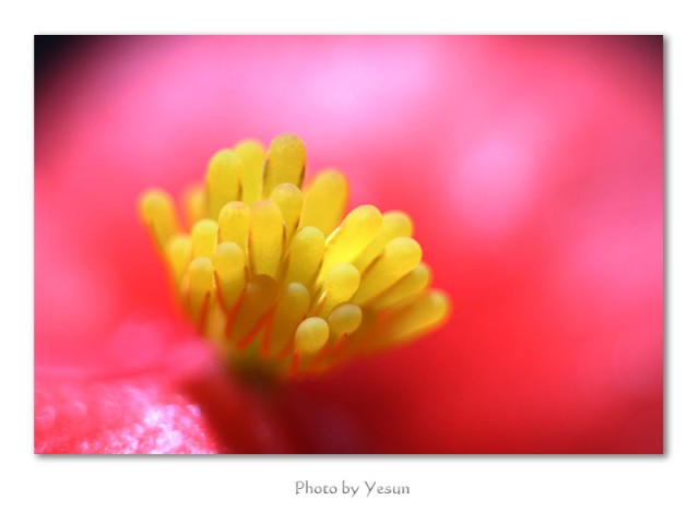 009 3960a